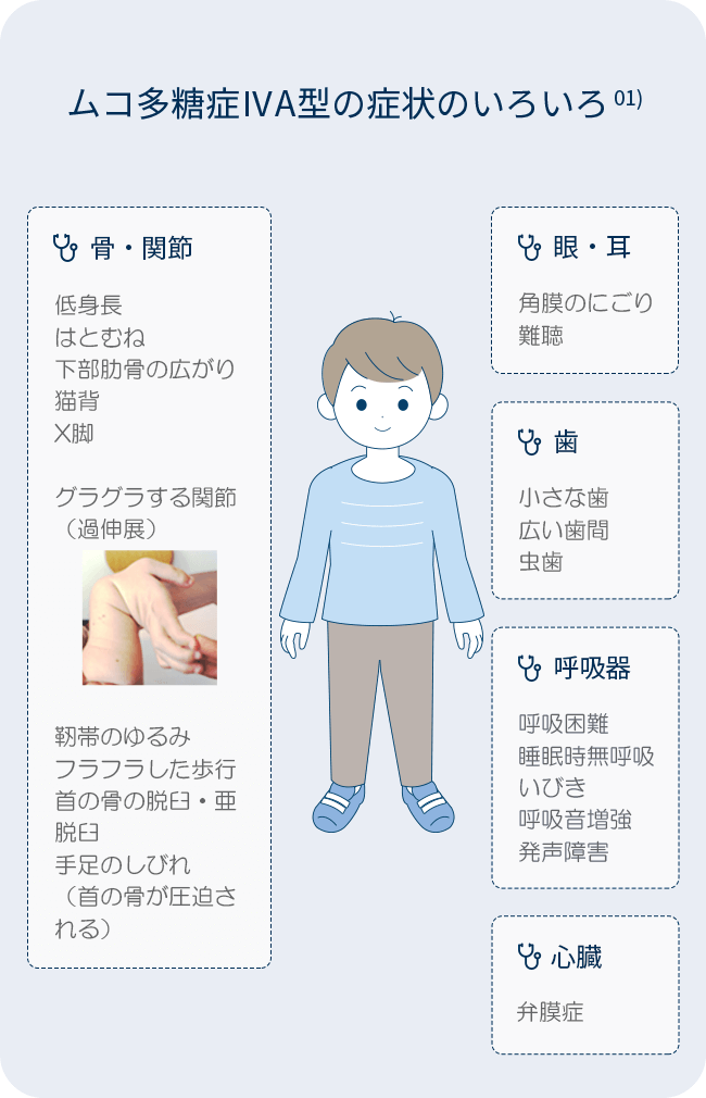 ムコ多糖症 患者さん ご家族の皆様 Biomarin Pharmaceutical Japan